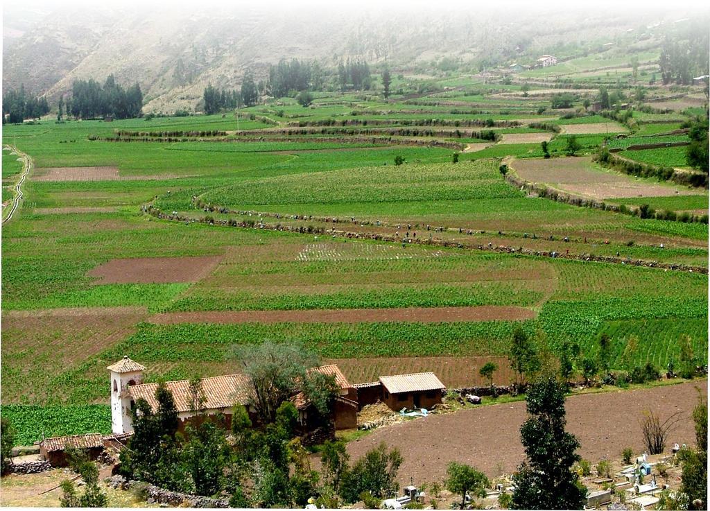 La Casa Del Conde Bed & Breakfast ปีซัก ภายนอก รูปภาพ