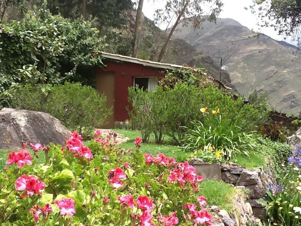 La Casa Del Conde Bed & Breakfast ปีซัก ภายนอก รูปภาพ